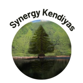 Synergy Kendiyas