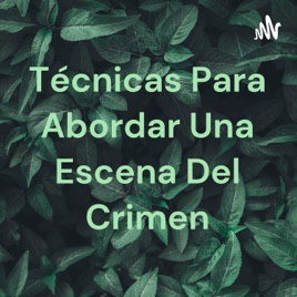 Técnicas Para Abordar Una Escena Del Crimen