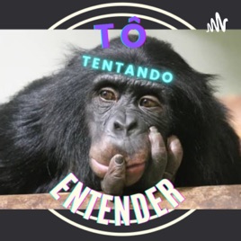 Tô tentando entender