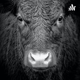 T. N. Bull