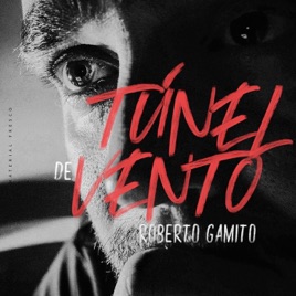 Túnel de vento