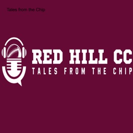 Tales from the Chip