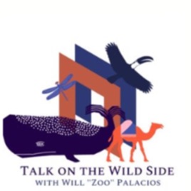 Talk on the Wild Side