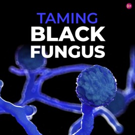 Taming Black Fungus