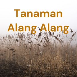 Tanaman Alang Alang