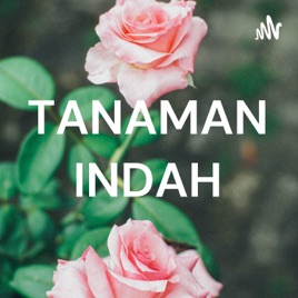 TANAMAN INDAH