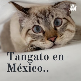Tangato en México..