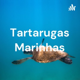 Tartarugas Marinhas