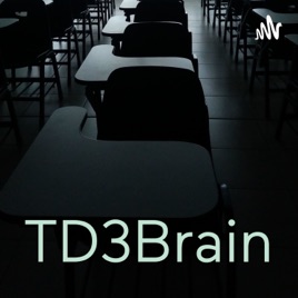 TD3Brain