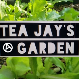 Tea Jay's Garden