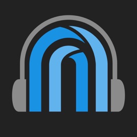 HybridPod: The Aural Side of Hybrid Pedagogy