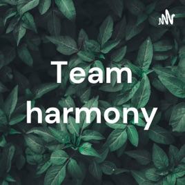 Team harmony