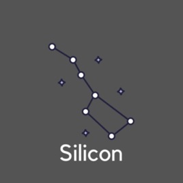 Team Silicon