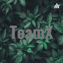 TeamX