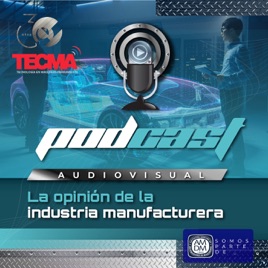 TECMA: La opinión de la industria manufacturera