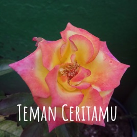 Teman Ceritamu