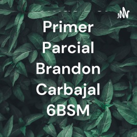 Temas Del Primer Parcial Brandon Carbajal 6BSM