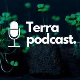 Terrabayt Sohbetleri