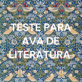 TESTE PARA AVA DE LITERATURA