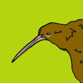 TG KIWI