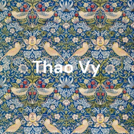 Thao Vy - dan cac bai nhac