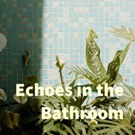 Echoes in the Bathroom