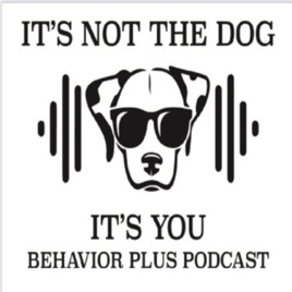 The Behavior Plus Podcast