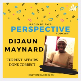 Perspective Podcast!