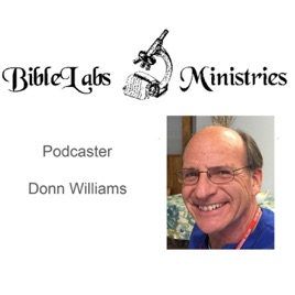 The BibleLabs Ministries Expositor