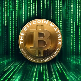 The Bitcoin Matrix