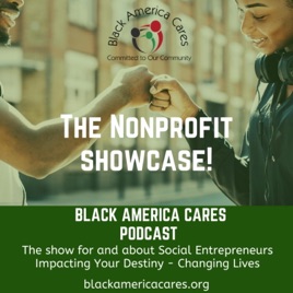 The Black Nonprofits and Business Podcast