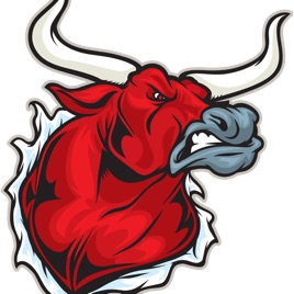 The Bullvine