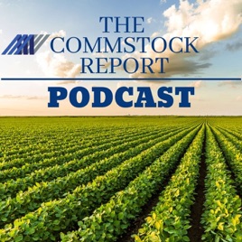 The Commstock Report Podcast