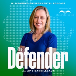 The Defender