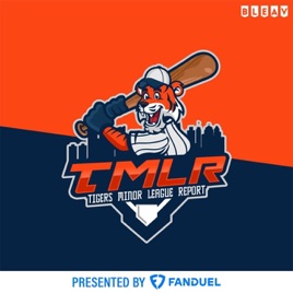 The Detroit Tigers Minor League Report Podcast
