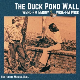 The Duck Pond Wall