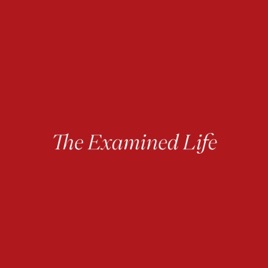 The Examined Life