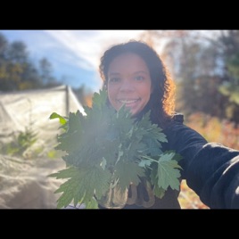 The Gutsy Herbalist