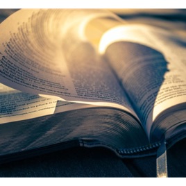 The Holy Bible - English