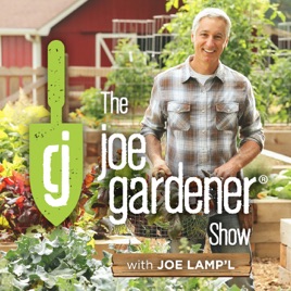 The joe gardener Show - Organic Gardening - Vegetable Gardening - Expert Garden Advice From Joe Lamp...