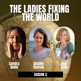 The Ladies Fixing the World