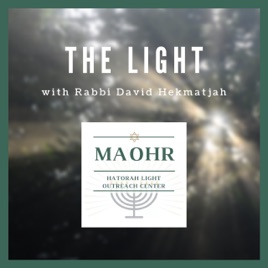 The Light by Rav Dovid Hekmatjah Braum