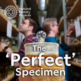 The 'Perfect' Specimen