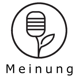 The Pod - Meinung