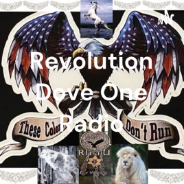 Revolution Dove One Radio