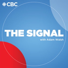 The Signal