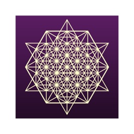 The Soul Matrix