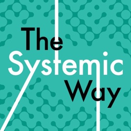 The Systemic Way