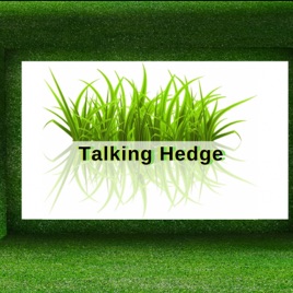 The Talking Hedge Podcast