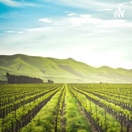 The Tips Of Making Best Harvest